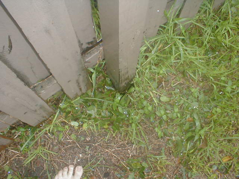 P9050105
