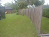 P9050096