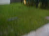 P9050102