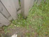 P9050105
