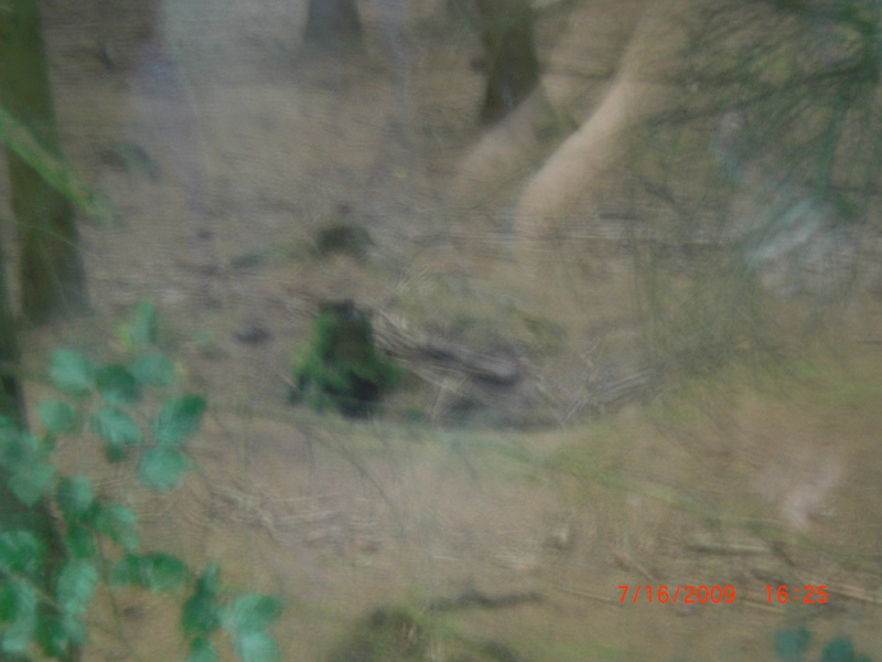 CIMG0837
