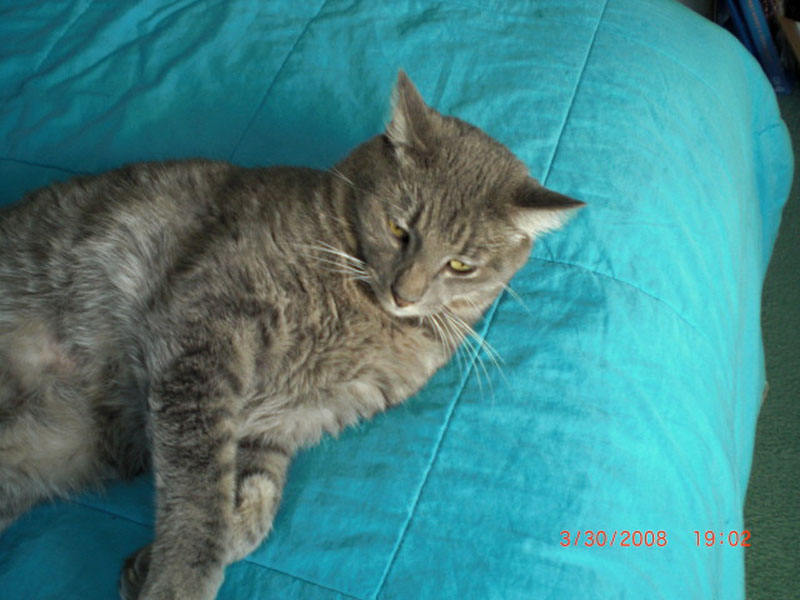 CIMG0039