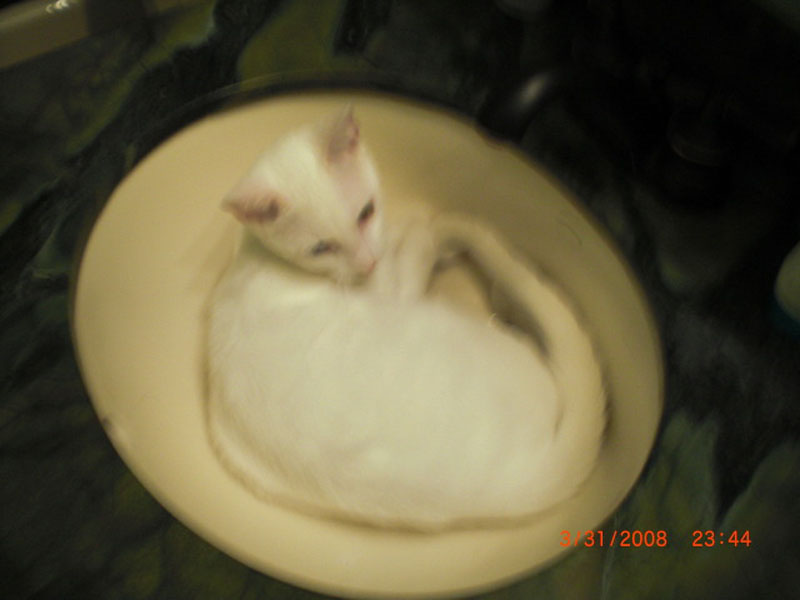 CIMG0042