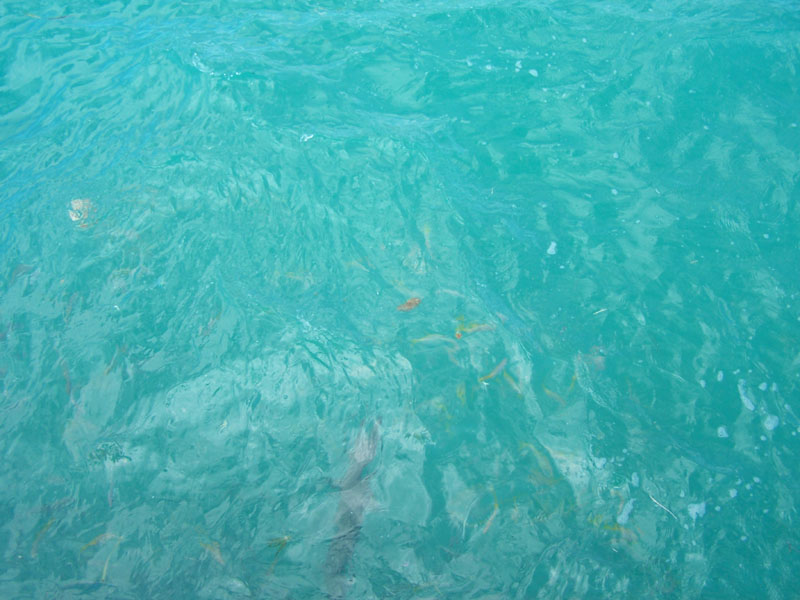 100_2794