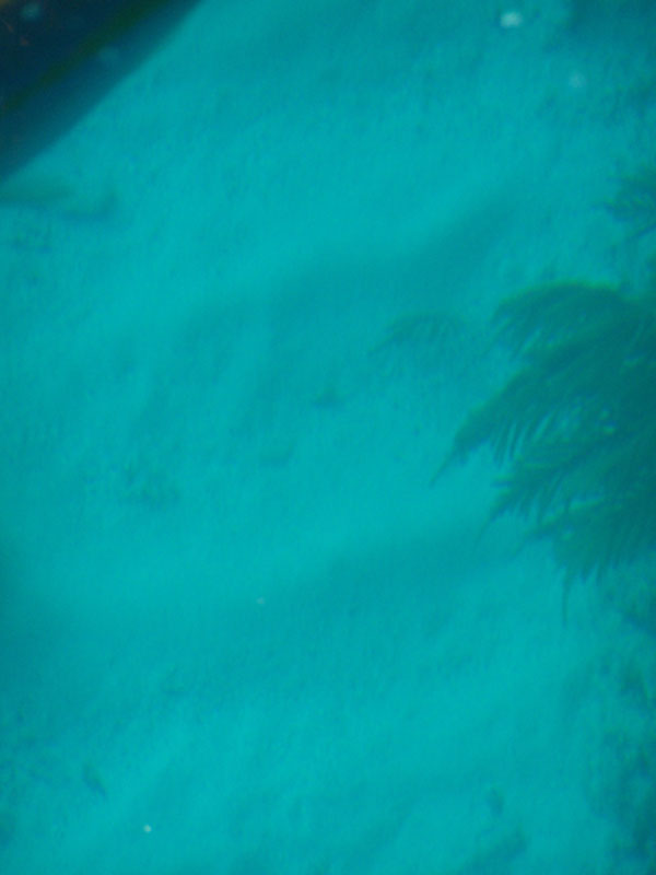 100_2877