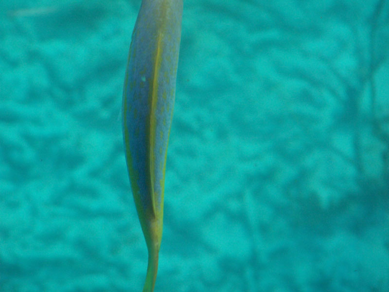 100_2887