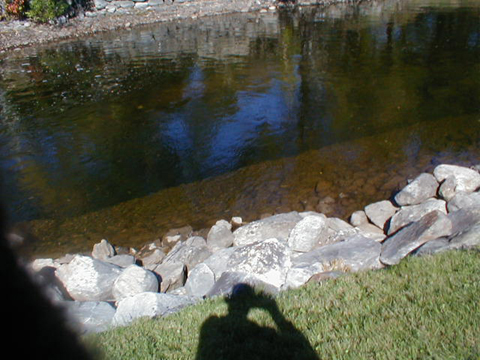 PA030026