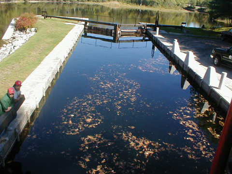 PA030043
