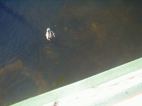 PA030068