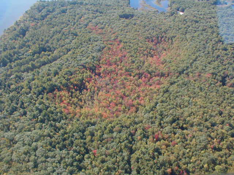 PA030086