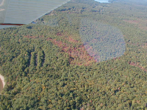 PA030087