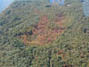 PA030086