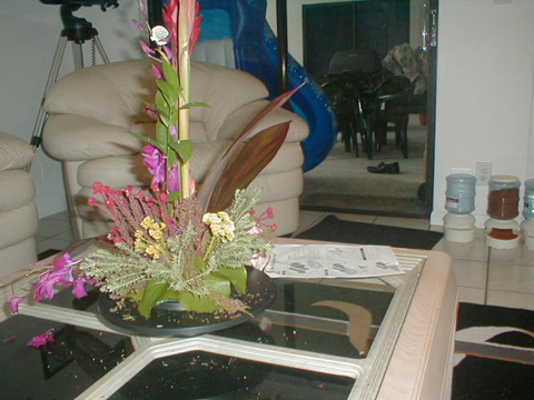 P6080008