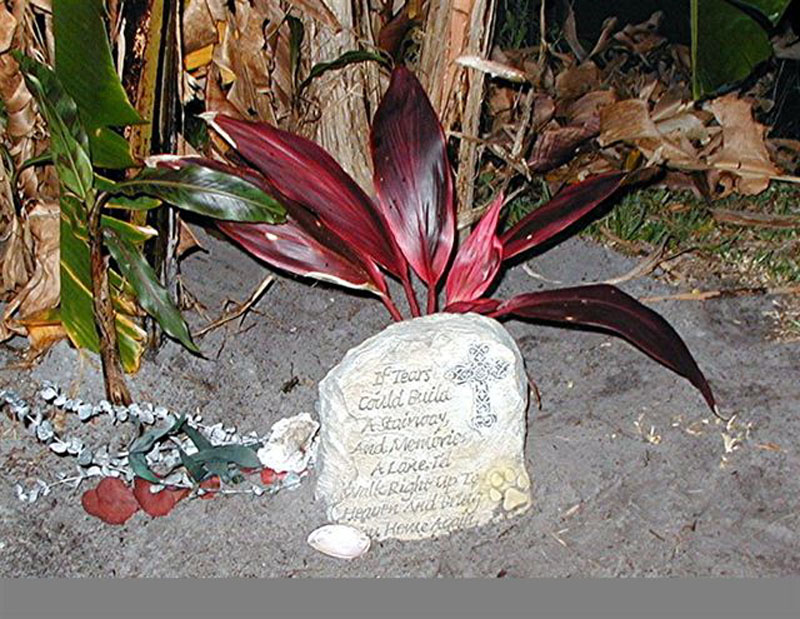 Murph_resting_place