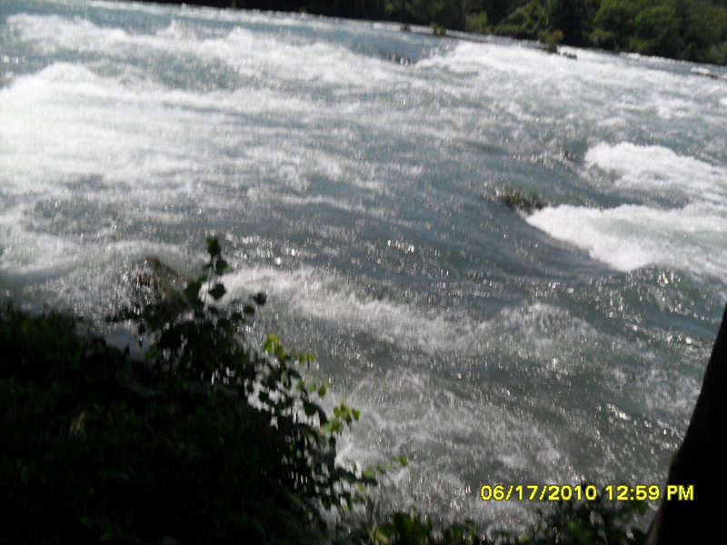 SAM_0352