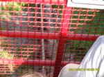 SAM_0139