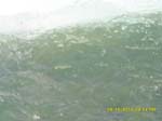 SAM_0170