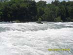 SAM_0338