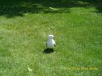 SAM_0381