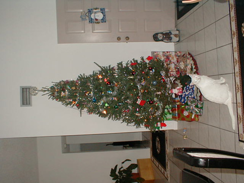 PC090001