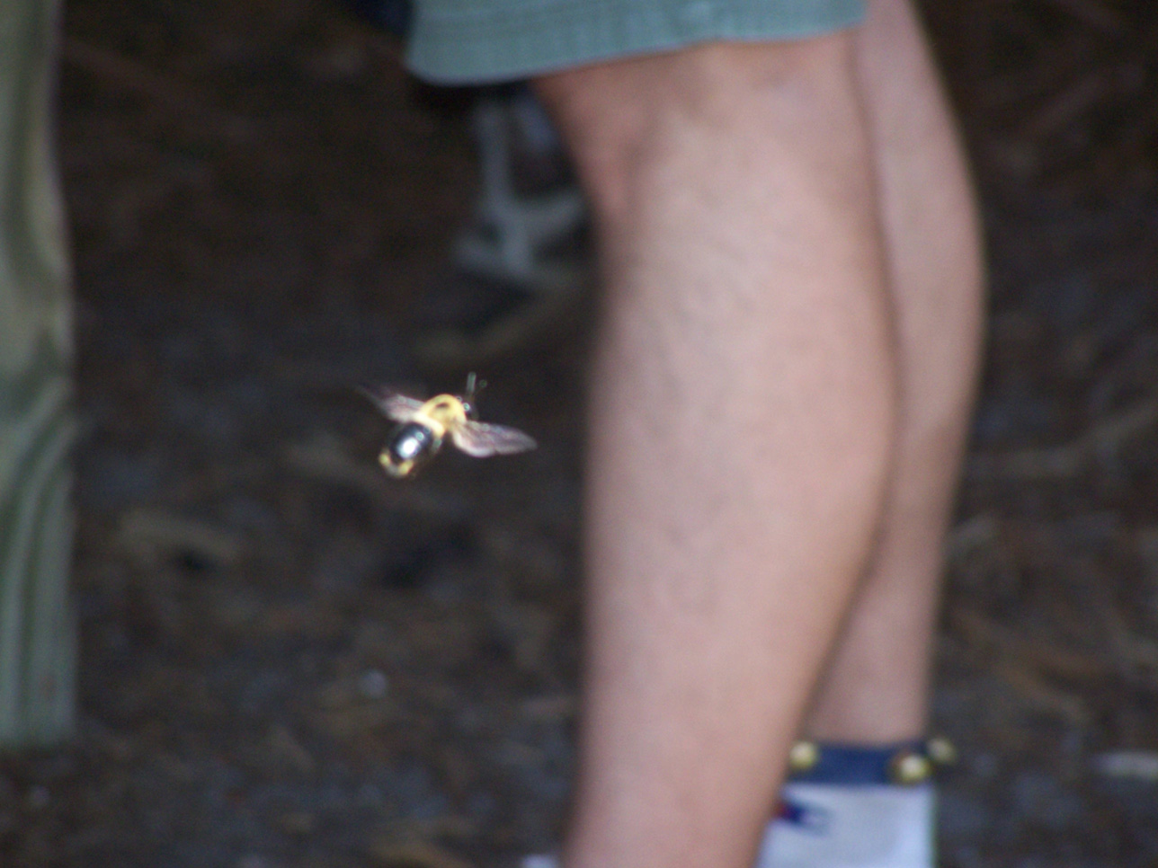 Spring Family Campout 2006 146