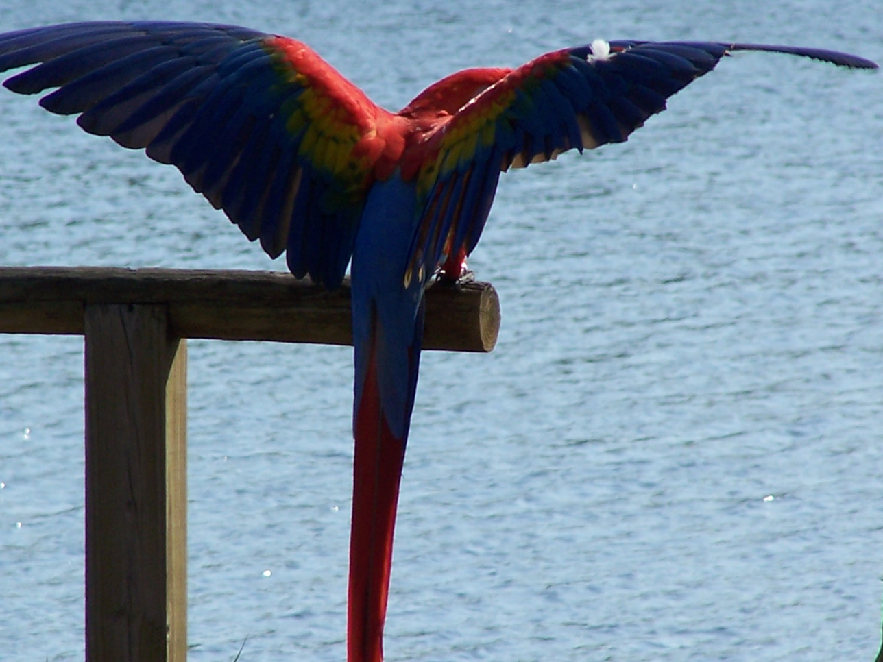 Spring Family Campout 2006 171