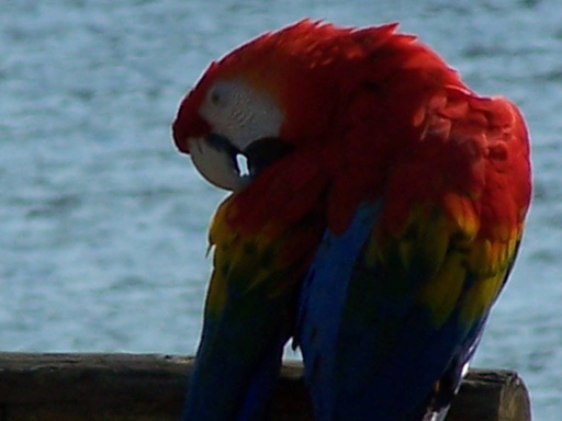 Spring Family Campout 2006 172