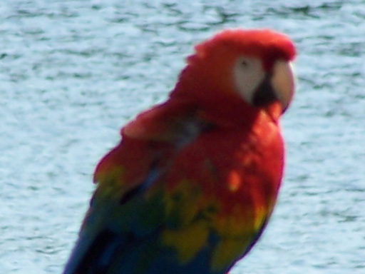 Spring Family Campout 2006 173