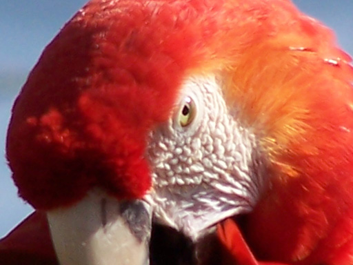 Spring Family Campout 2006 174