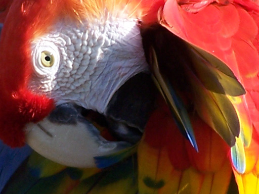 Spring Family Campout 2006 175