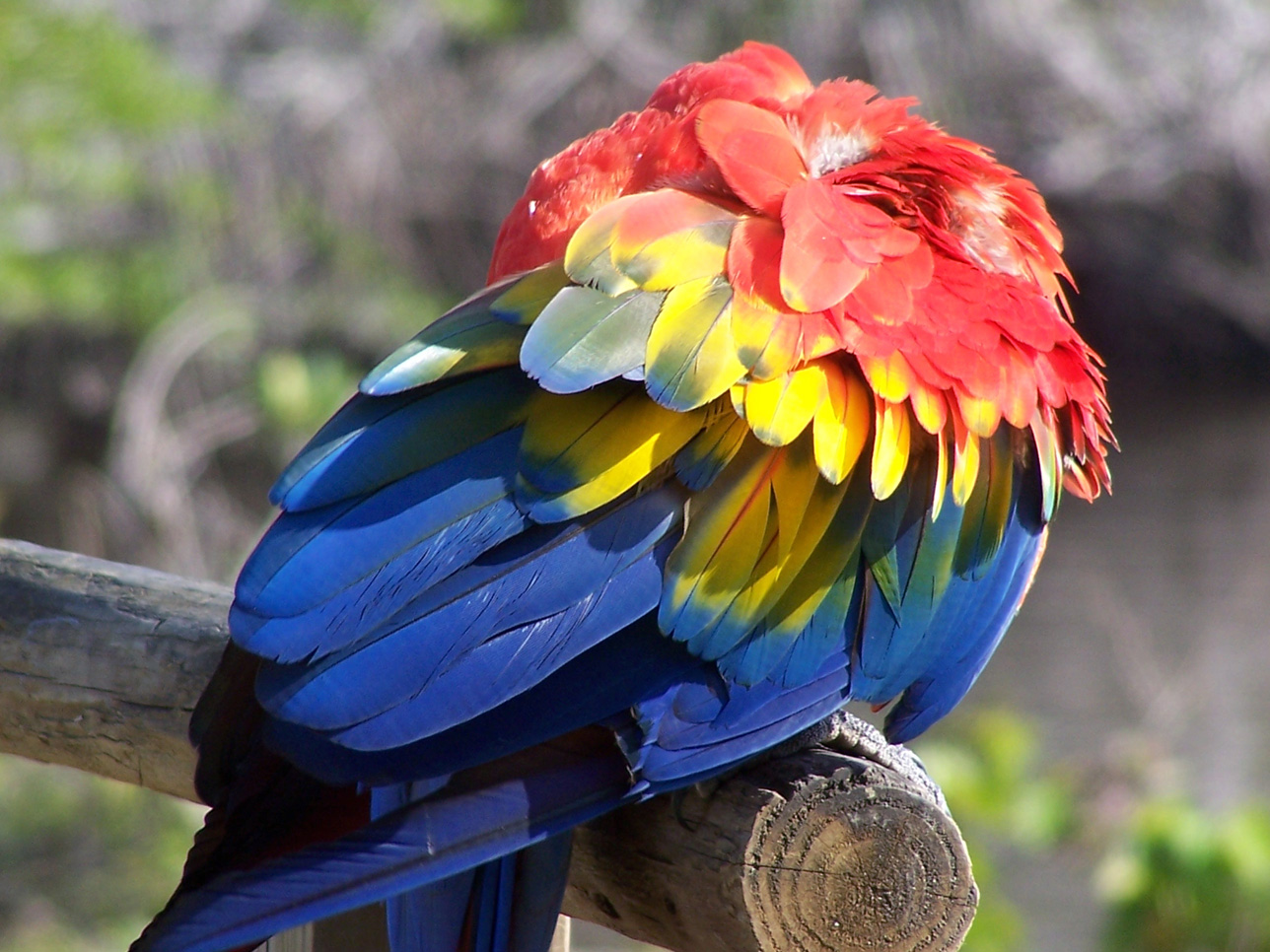 Spring Family Campout 2006 176