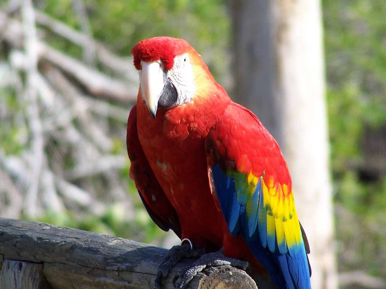 Spring Family Campout 2006 180