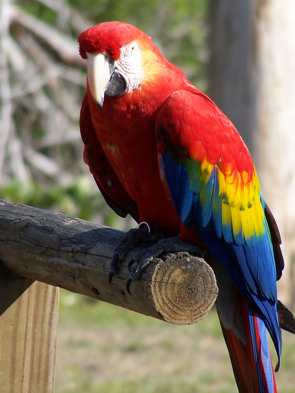 Spring Family Campout 2006 181