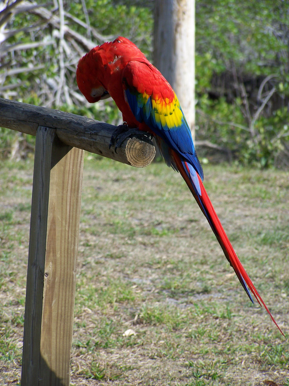 Spring Family Campout 2006 182