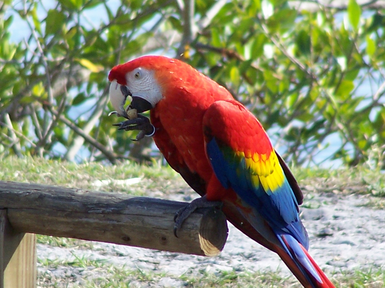 Spring Family Campout 2006 189