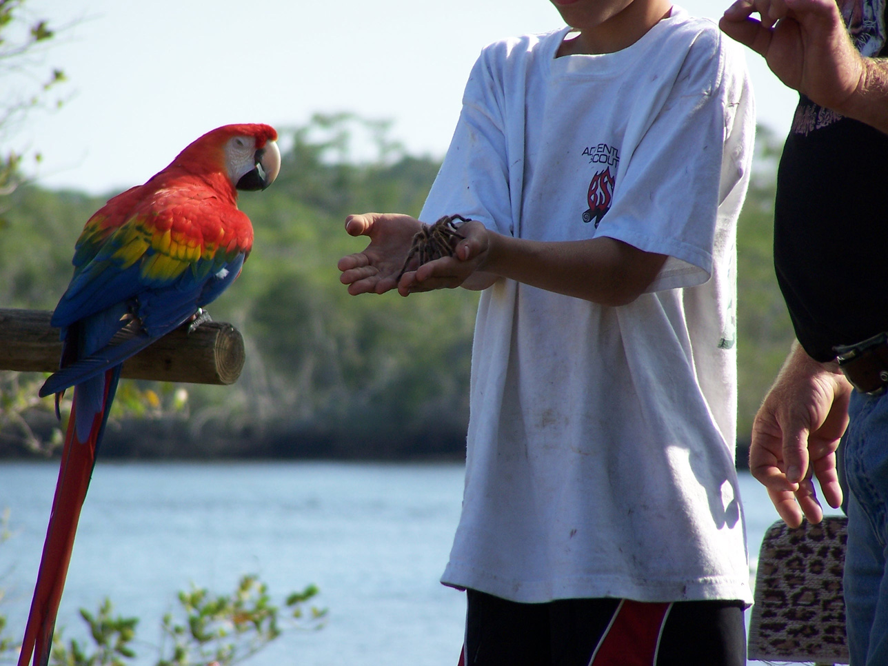 Spring Family Campout 2006 209