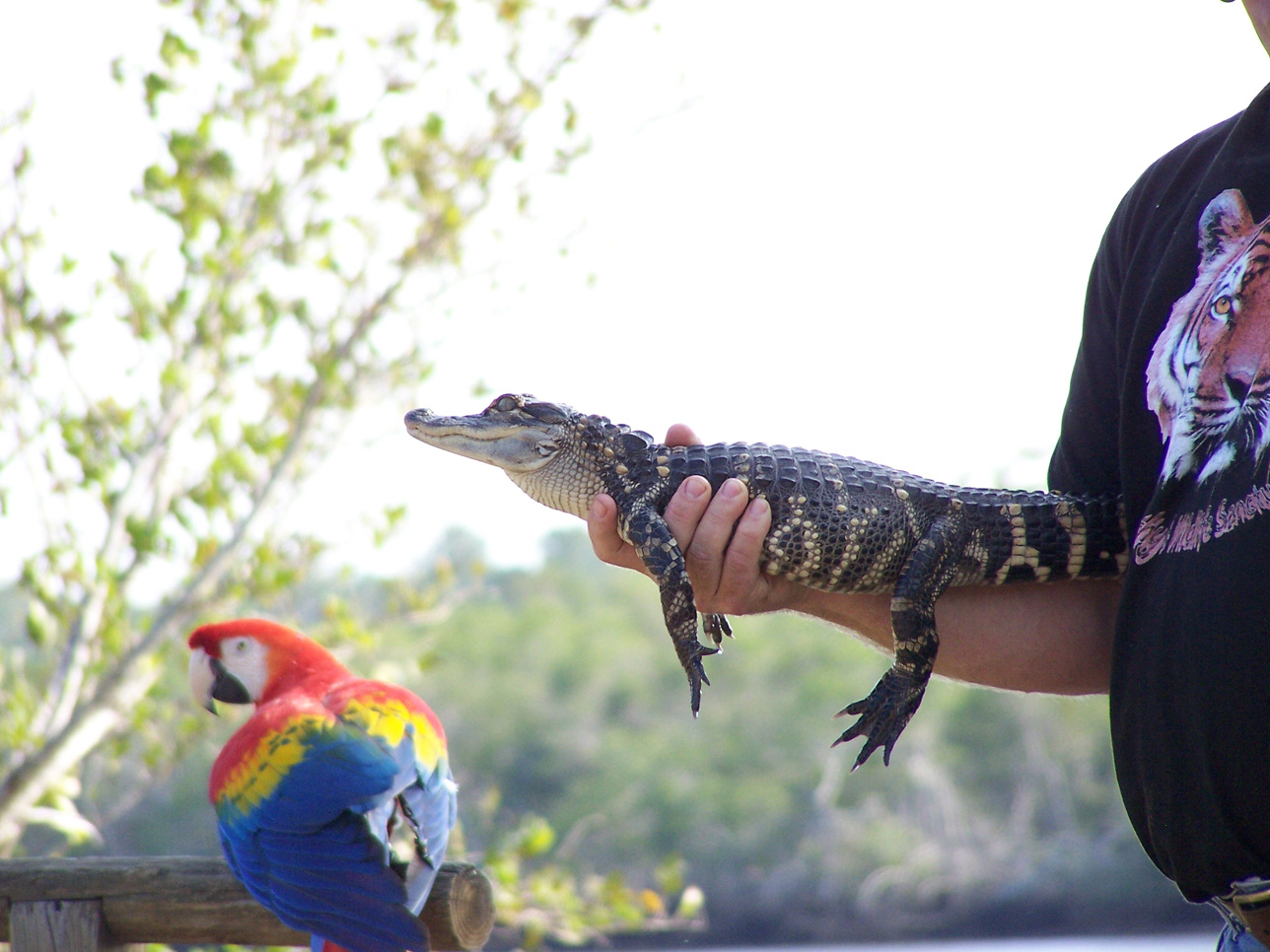 Spring Family Campout 2006 214
