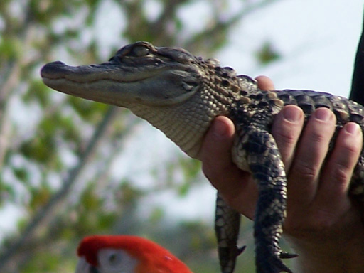 Spring Family Campout 2006 220