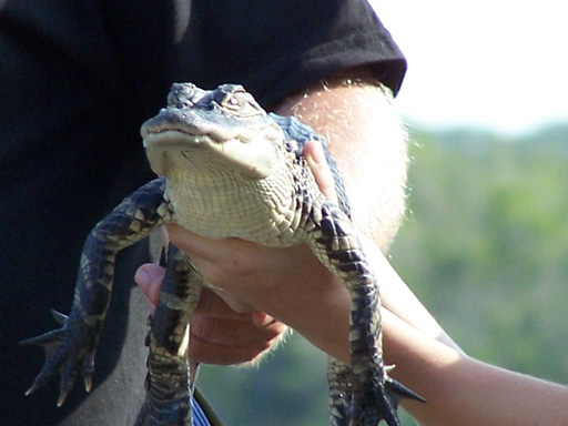 Spring Family Campout 2006 221