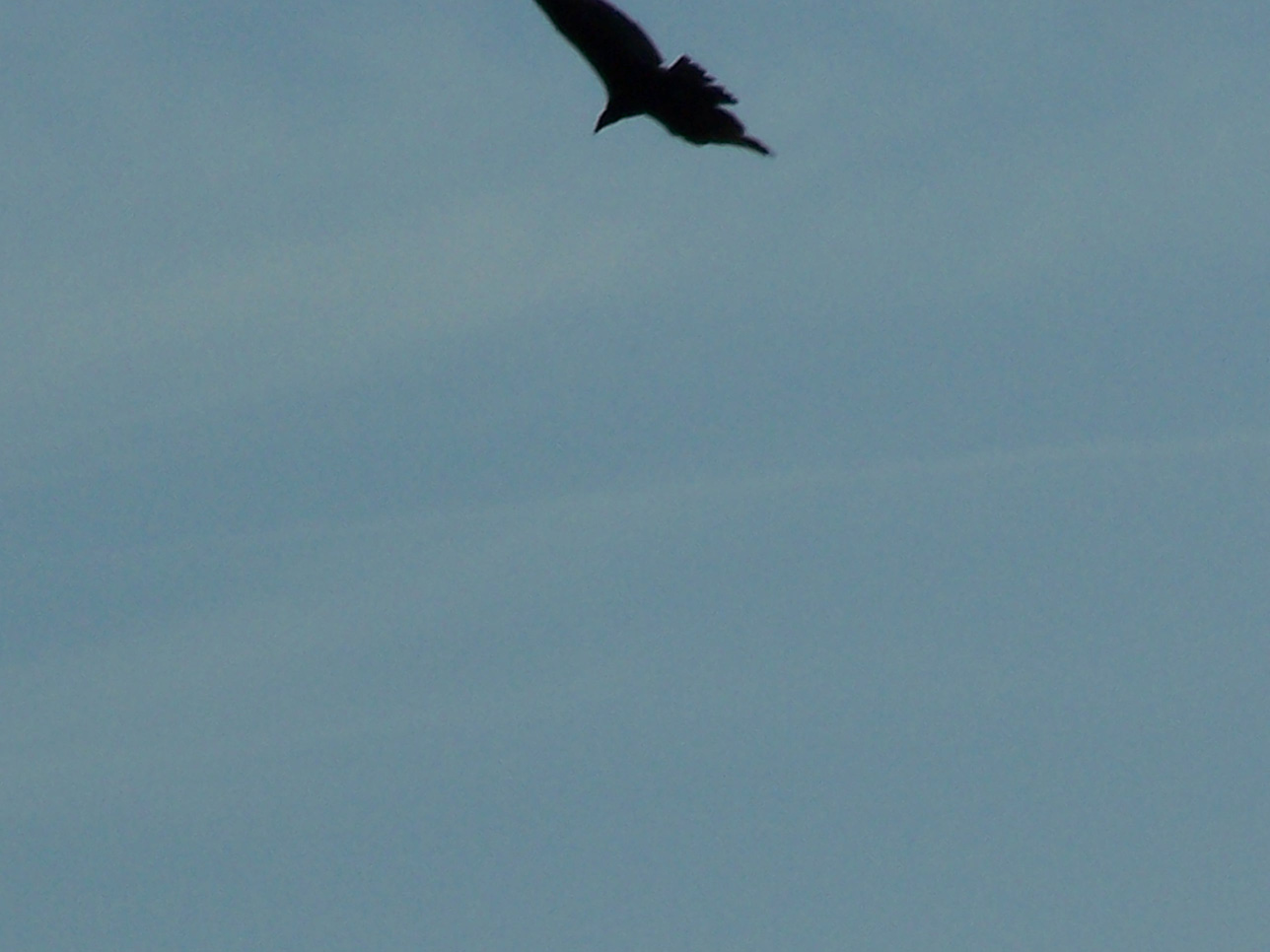 Spring Family Campout 2006 223