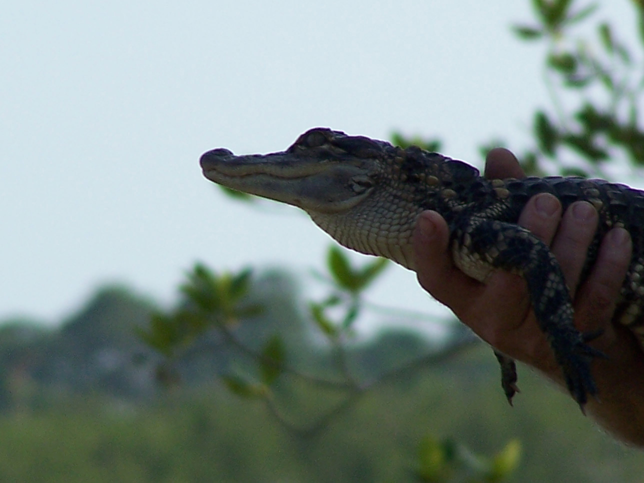 Spring Family Campout 2006 226