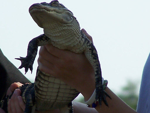 Spring Family Campout 2006 227