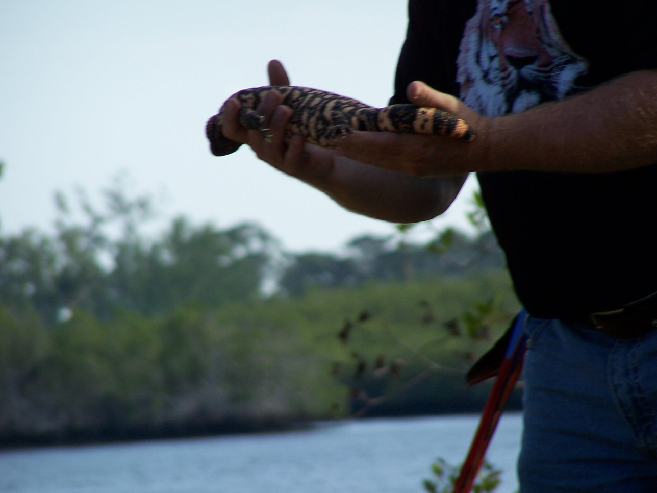 Spring Family Campout 2006 233