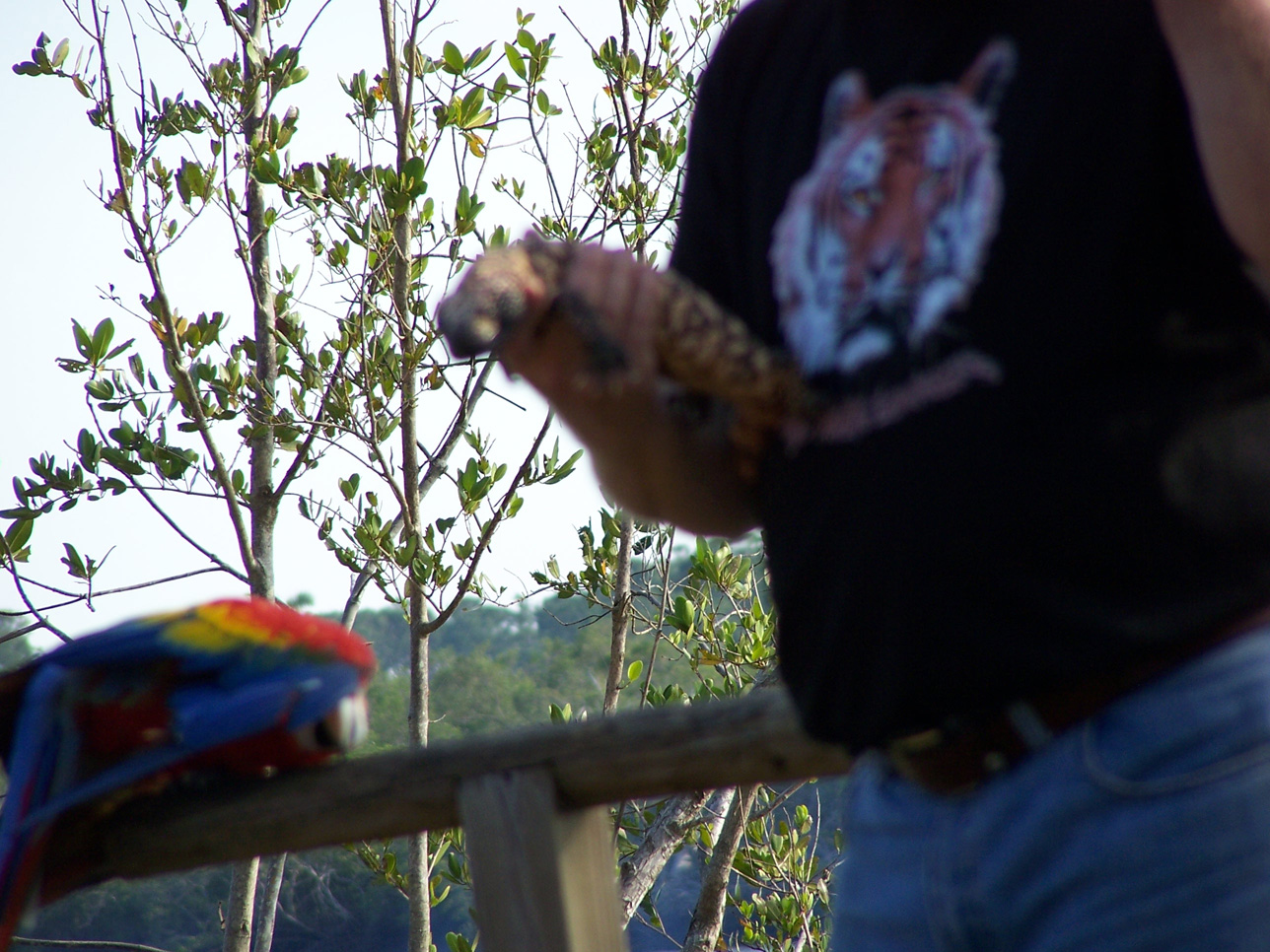 Spring Family Campout 2006 235