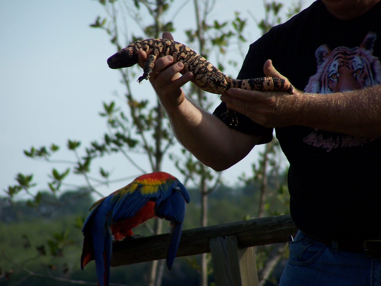 Spring Family Campout 2006 237