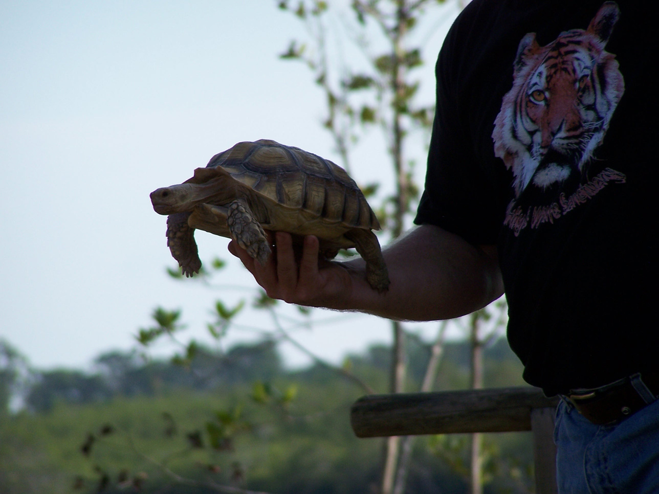 Spring Family Campout 2006 239