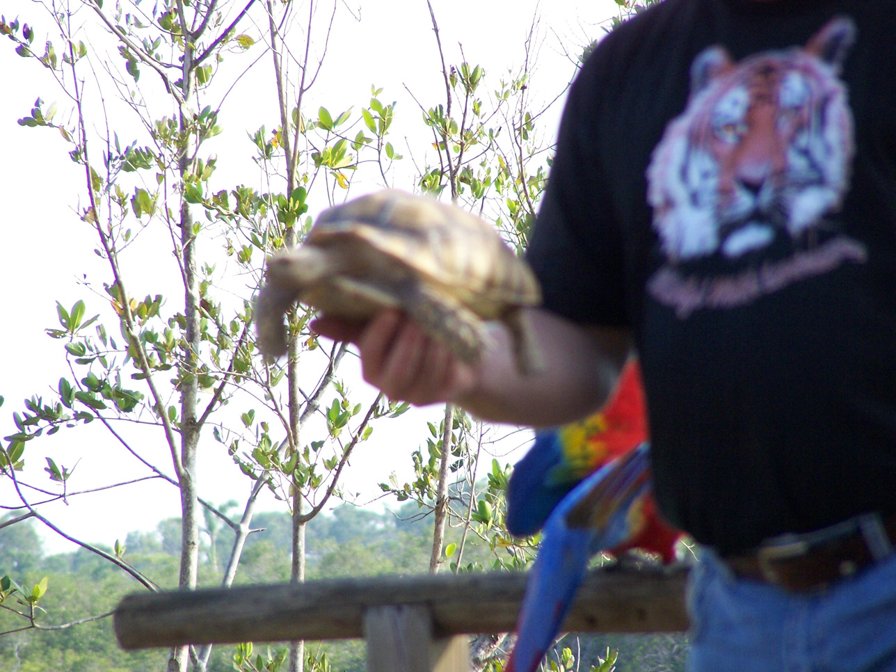 Spring Family Campout 2006 240