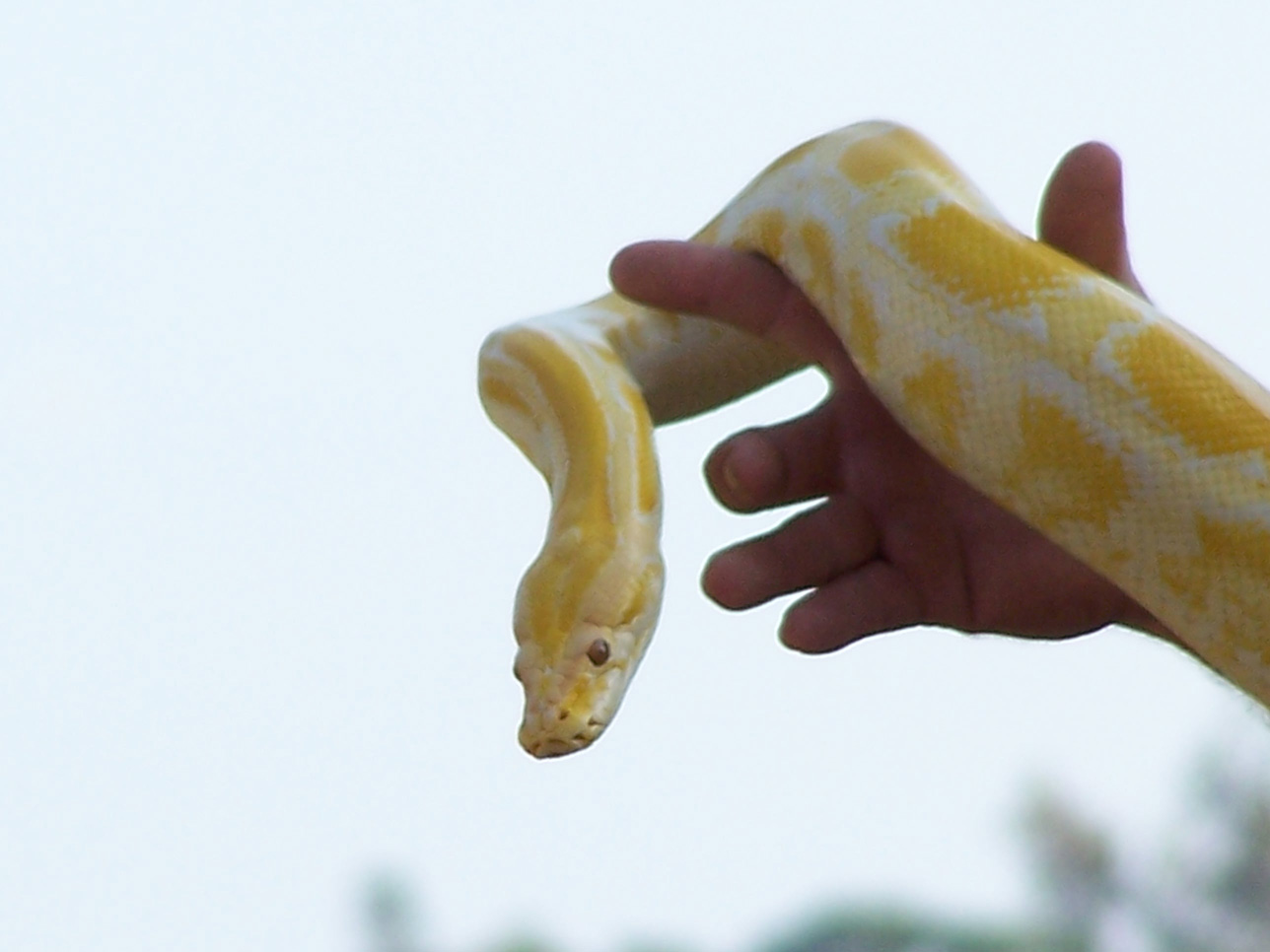 Spring Family Campout 2006 255