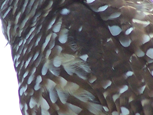 Spring Family Campout 2006 278