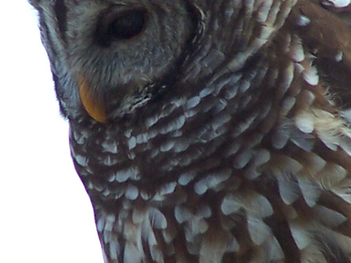 Spring Family Campout 2006 279